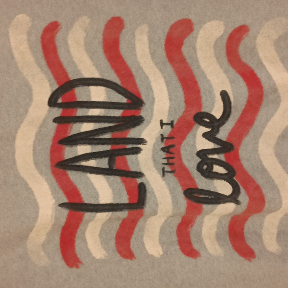 "Land that I Love" v-neck tee, sz XL - Picture 2 of 4